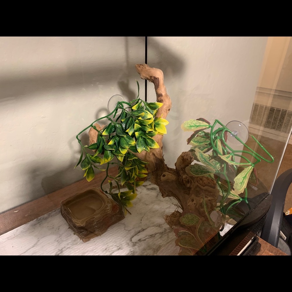 25 gallon front opening reptile tank